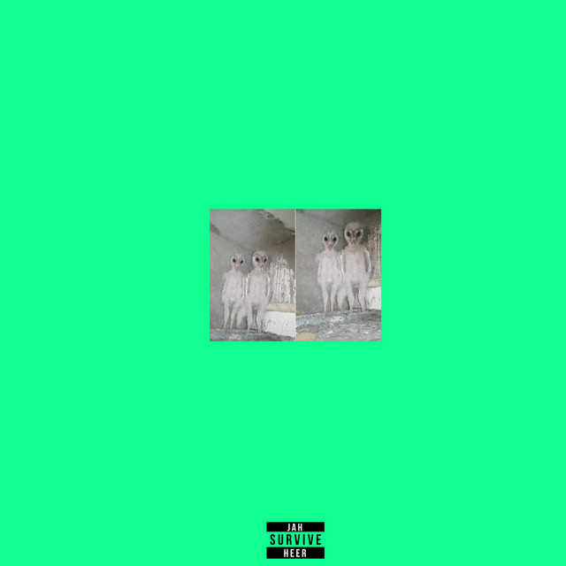 'Survive' cover art