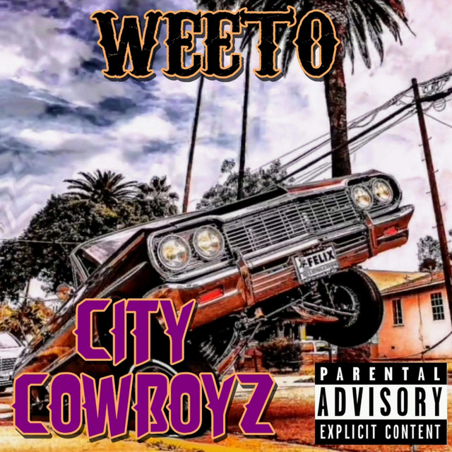 'City Cowboyz' cover art
