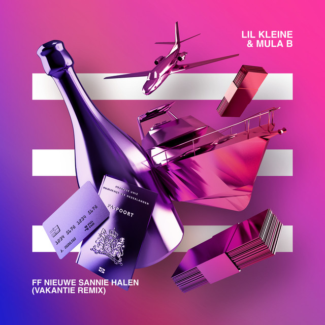 'Ff Nieuwe Sannie Halen (Vakantie Remix)' cover art