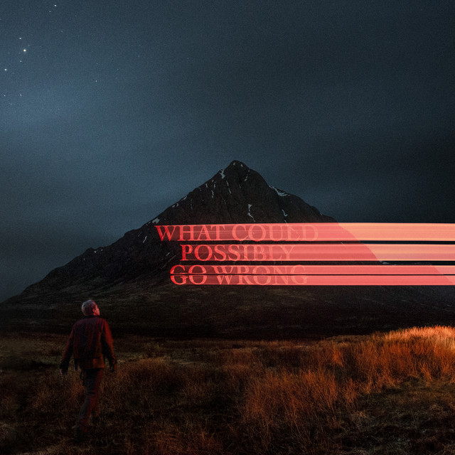 'What Could Possibly Go Wrong' cover art