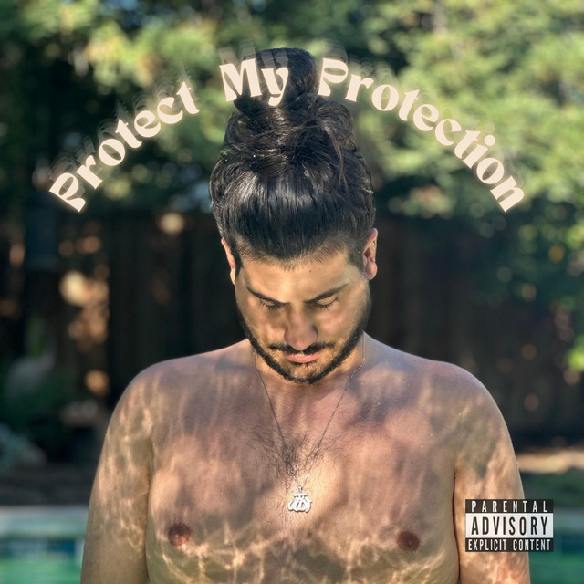 'Protect My Protection' cover art