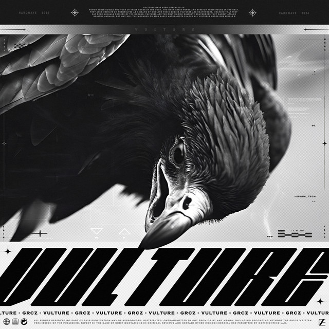 'VULTURE' cover art