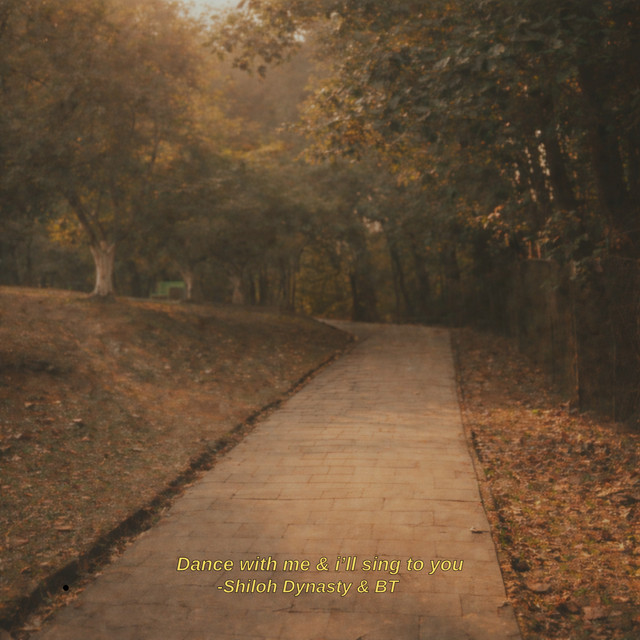 'Dance with me & I’ll sing to you' cover art