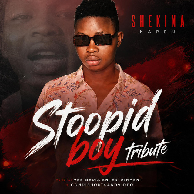 'Stoopid Boy Tribute' cover art