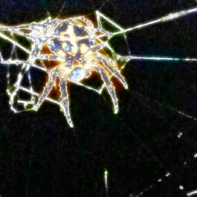 'Widow Maker' cover art