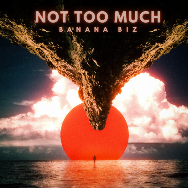 'Not Too Much' cover art