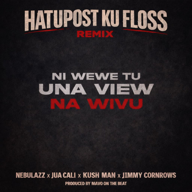 'Hatupost Ku Floss Remix' cover art