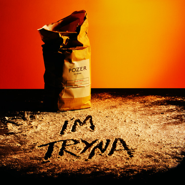 'I'M TRYNA' cover art
