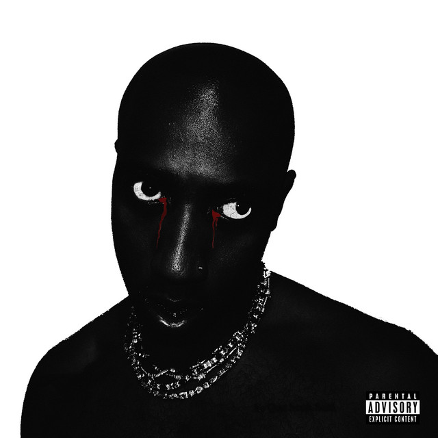 'I Never Forget a Face' cover art