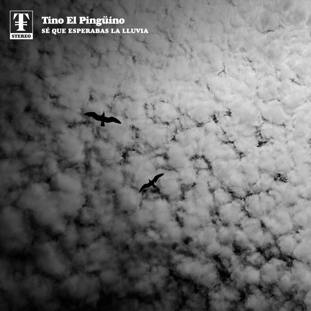 'Sé Que Esperabas la Lluvia' cover art