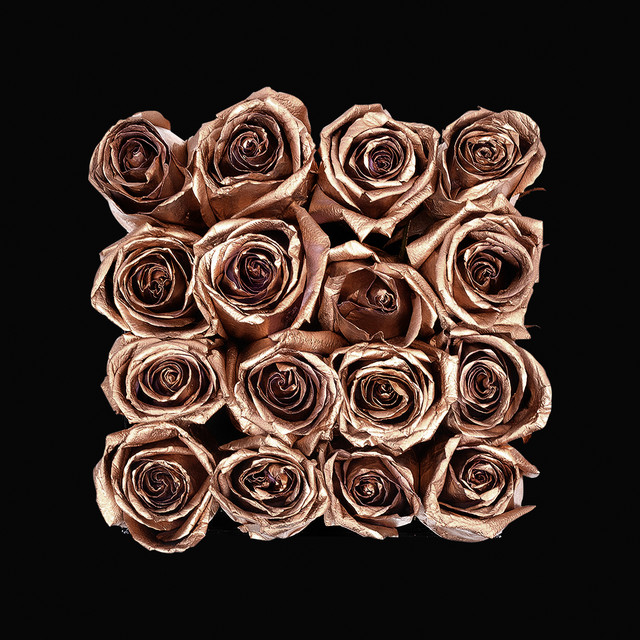 'Rose Gold' cover art