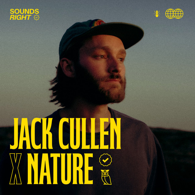 'All I Need (Acoustic feat. NATURE)' cover art