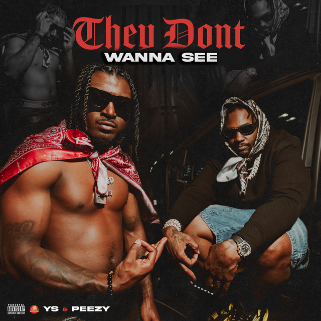 'They Don't Wanna See' cover art
