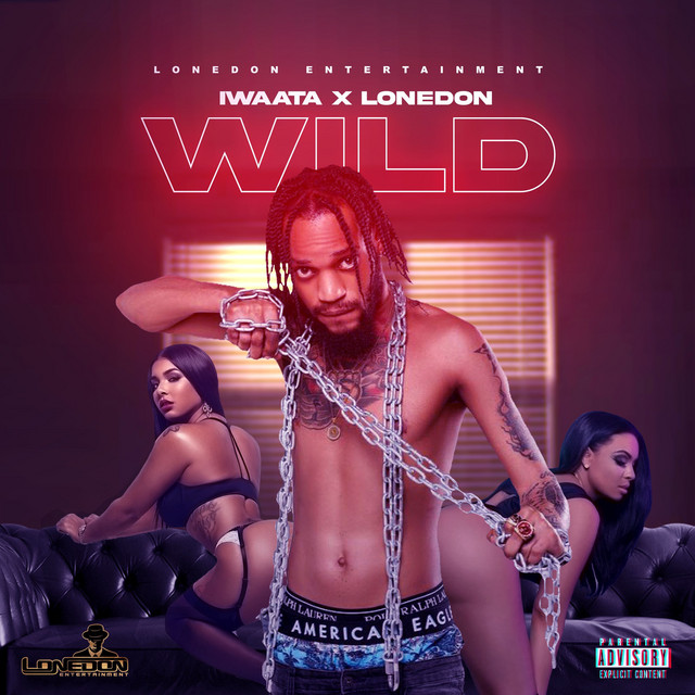 'Wild' cover art