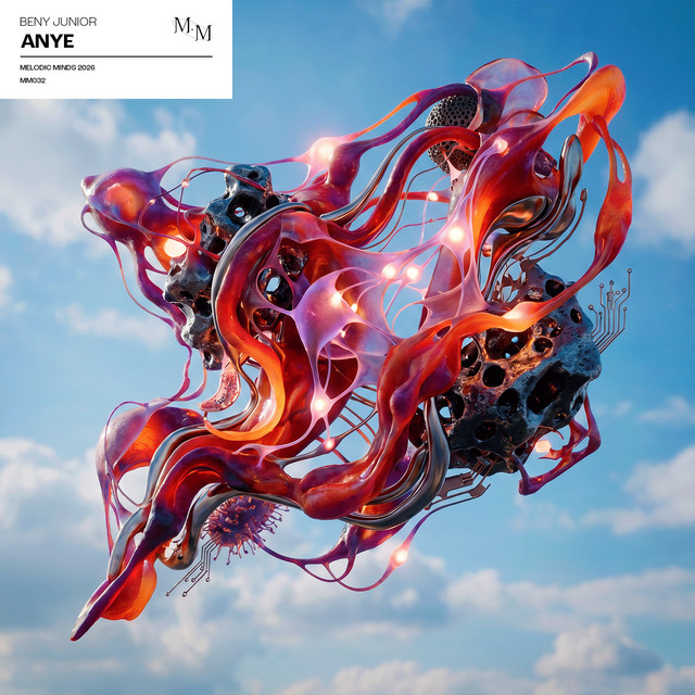'ANYE' cover art