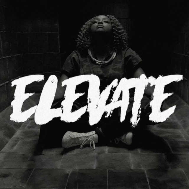 'Elevate' cover art