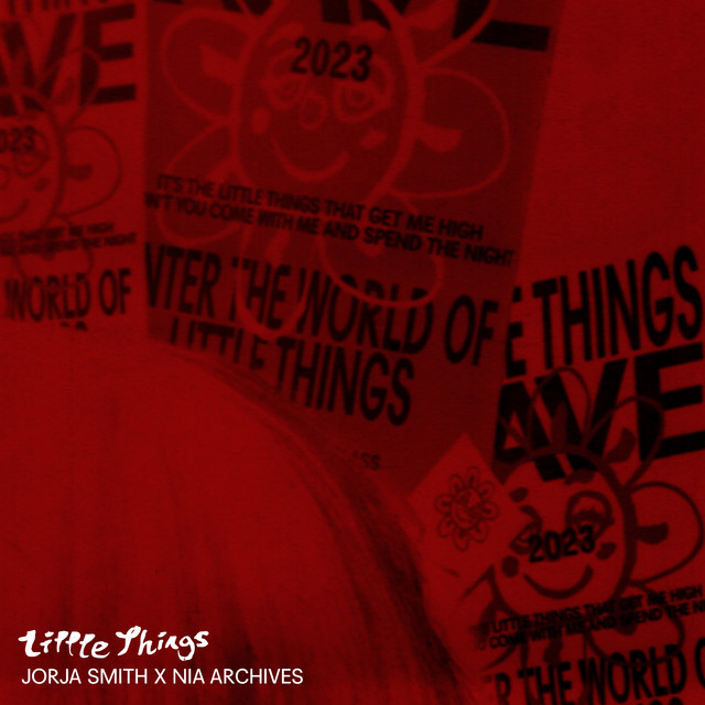 'Little Things (Nia Archives Remix)' cover art
