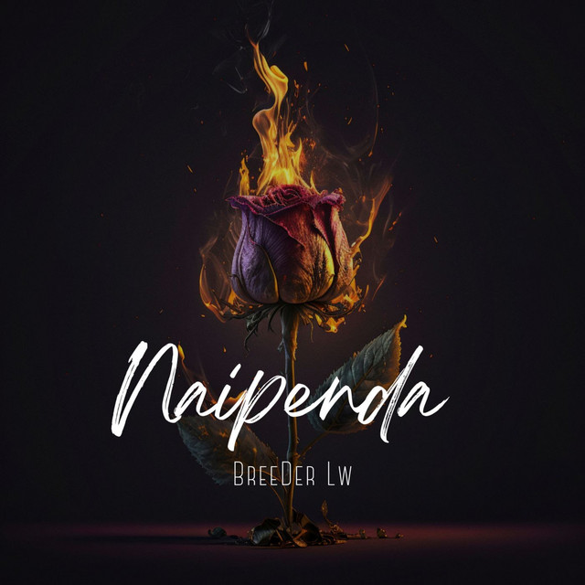 'Naipenda' cover art