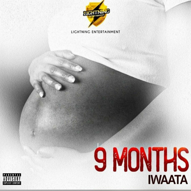 '9 Months' cover art