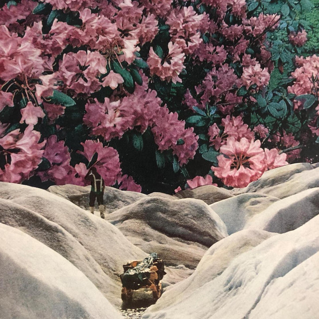 'Blossom' cover art
