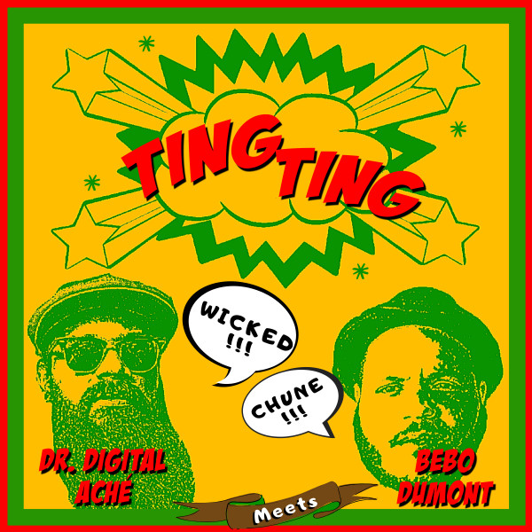 'Ting Ting - Dr. Digital Aché Meets Bebo Dumont' cover art