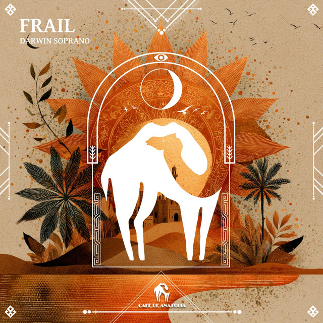 'Frail' cover art