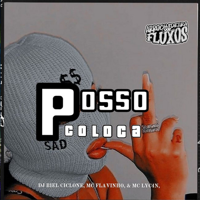 'Posso Colocar ( Verão 2025 )' cover art