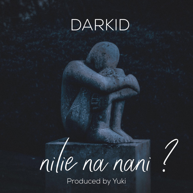 'Nilie Na Nani' cover art
