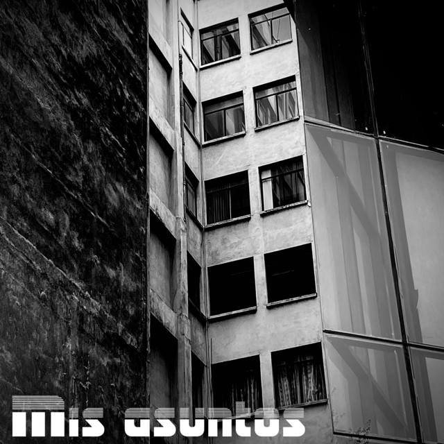 'Mis Asuntos' cover art