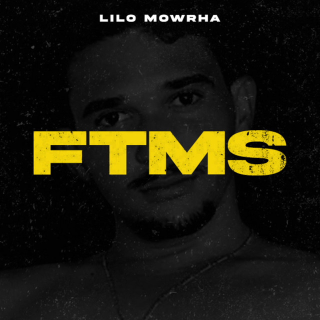 'F.T.M.S (Fiz Toda Musica Sozinho)' cover art