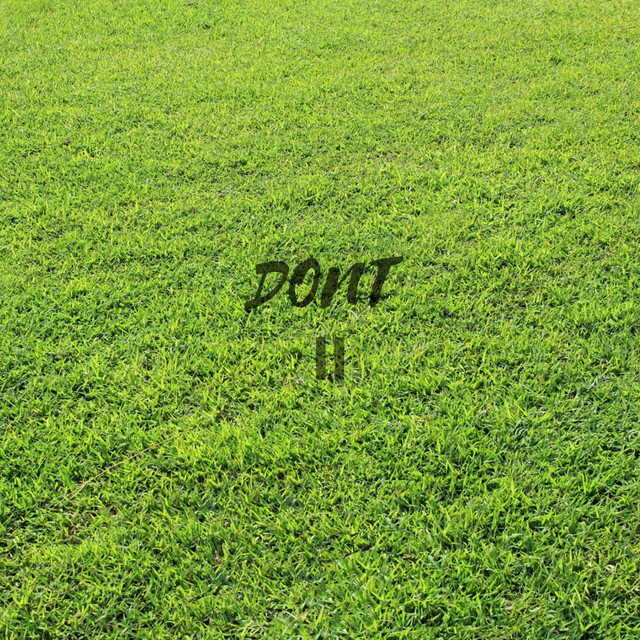 'Don't II' cover art