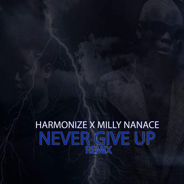 'Never Give Up Remix' cover art