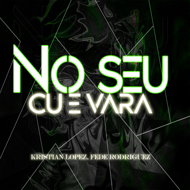 'No Seu Cu E Vara' cover art