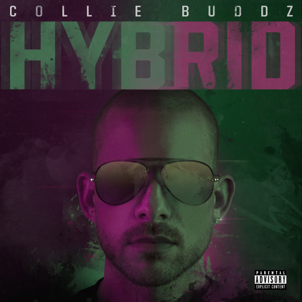 'Hybrid' cover art