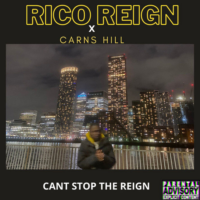'Cant Stop the Reign' cover art