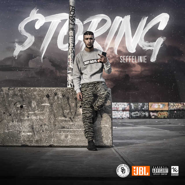 'Storing' cover art