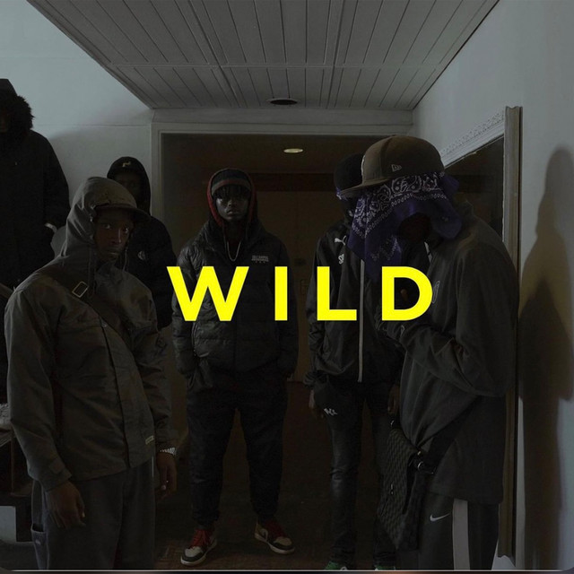 'Wild' cover art