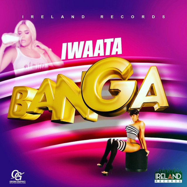 'Banga' cover art