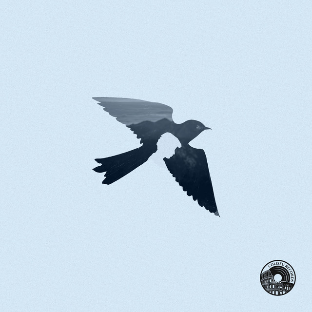 'Passarinho' cover art