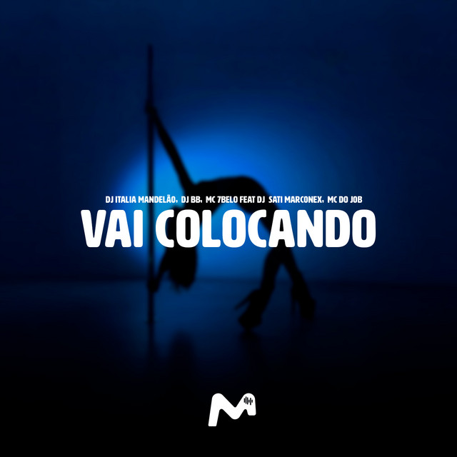 'VAI COLOCANDO' cover art