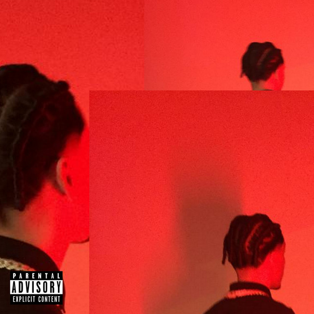 'Diana de Brito' cover art