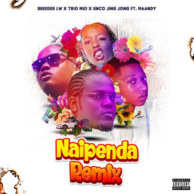 'Naipenda (Remix)' cover art