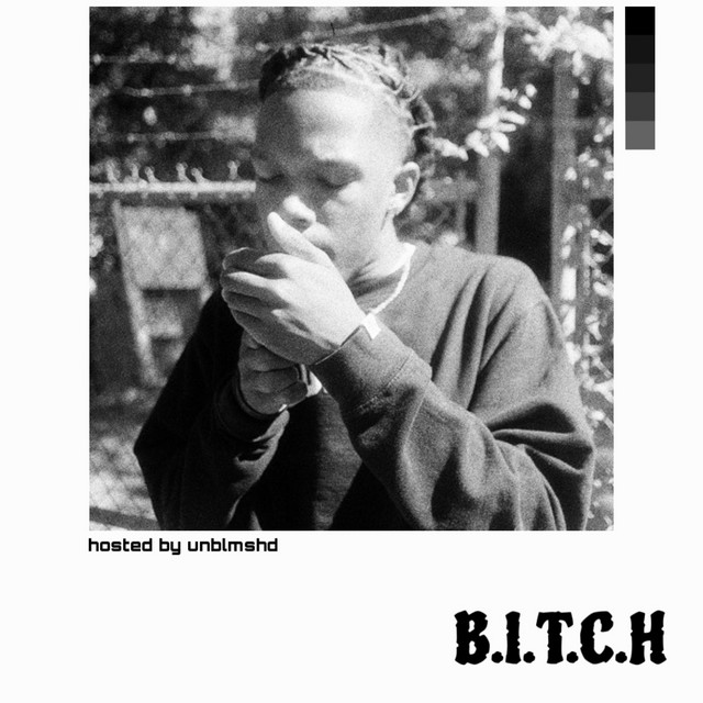 'B.I.T.C.H' cover art