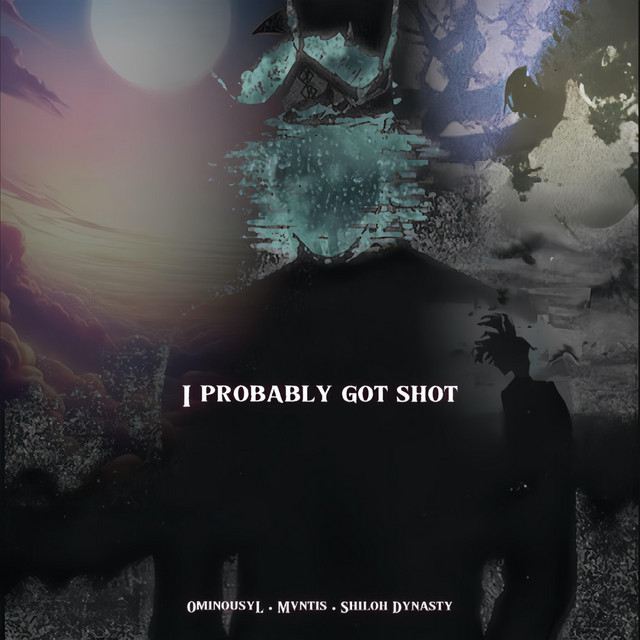 'I Probably Got Shot' cover art