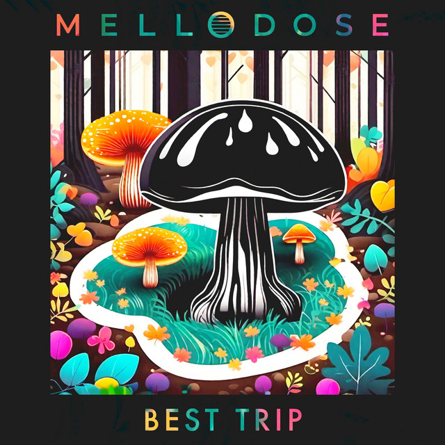 'Best Trip' cover art