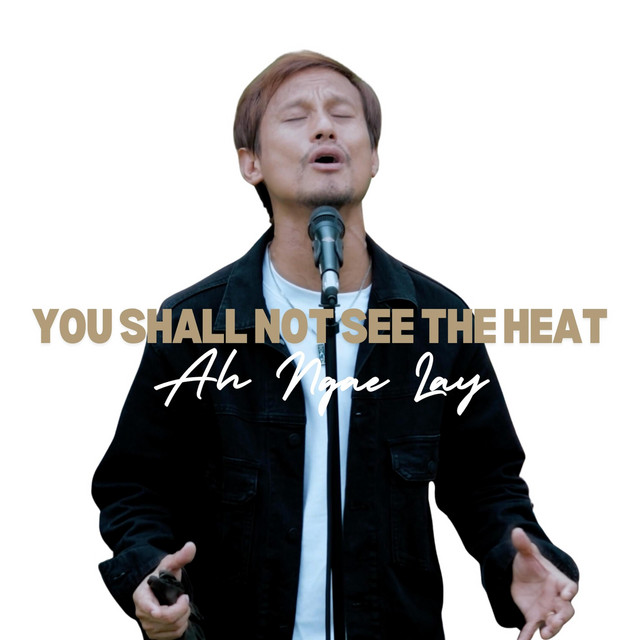 'You Shall Not See the Heat' cover art