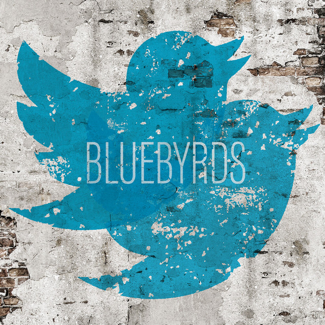 'BLUEBYRDS' cover art