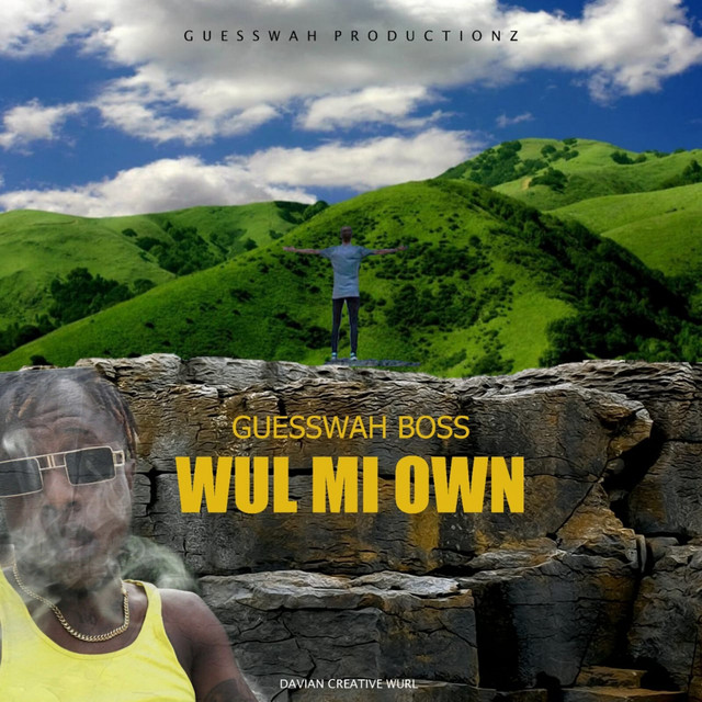 'Wul MI Own' cover art