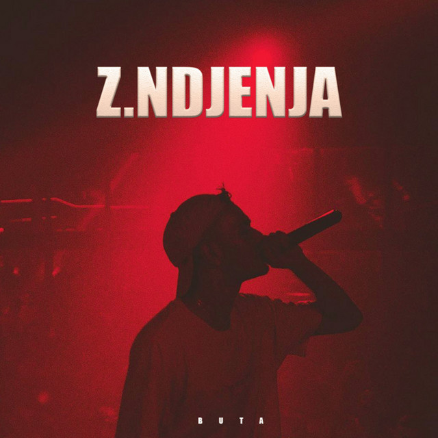 'Z. Ndjenja' cover art