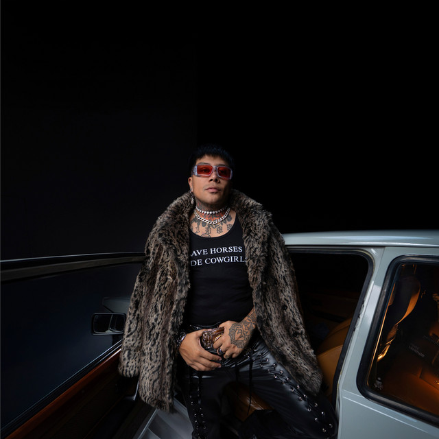 'Artista Narcisista' cover art